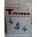 Trimees 63-3